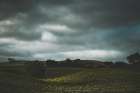 Hillside and Clouds Art Print