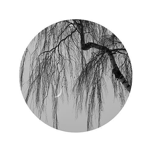 Early Spring No.1 Art Print by Xiang Wei