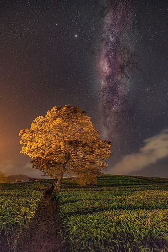 milky way Art Print