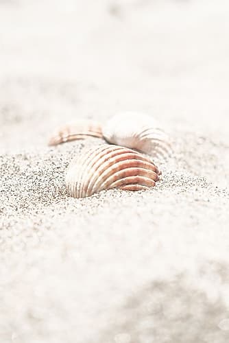 Beach_013 Coastal Print