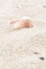 Beach_014 Art Print