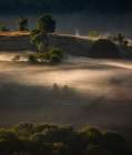 Life In The Countryside Art Print