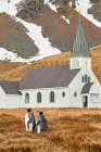 On the way to church Art Print