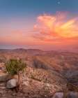 Desert Sunset Art Print