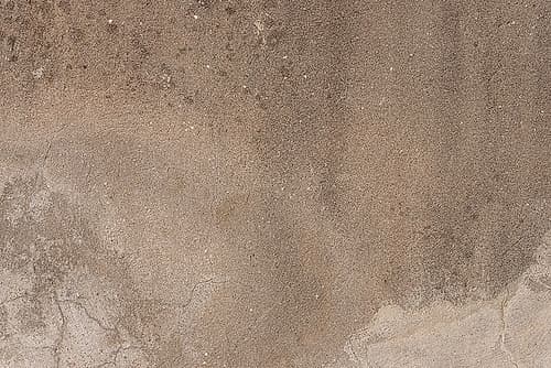 Texture 41 Art Print by 1x Studio III