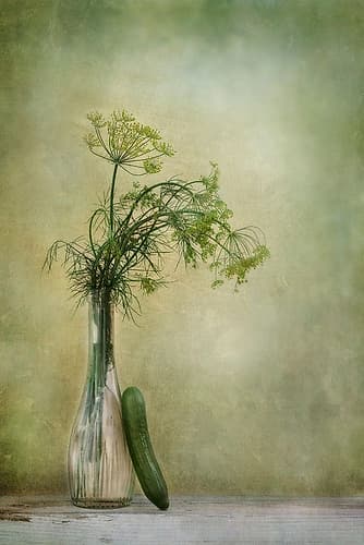Dill And Cucumber Art Print by Priska Wettstein