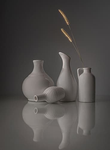 Porcelain Nature Print