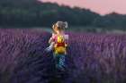 Winnie The Pooh Journey In The Lavender Sea Art Print