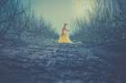 Winter Dance Art Print