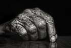 The Hand... Art Print
