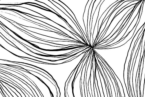 Flowerina 1 Art Print by uplusmestudio