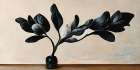 Black Magnolia Art Print