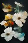 Dry Flowers Art Print