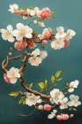 White Cherry Blossoms Art Print