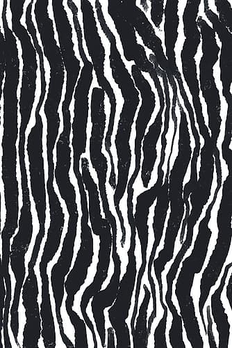 Zebra Pattern Art Print