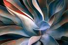 The Colors In Leaves Art Print