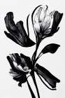 Black Flower Art Print