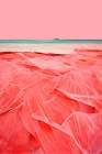 Coral Beach Art Print