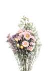 Wildflowers Art Print