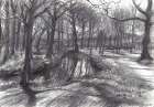 Oosterbeek - 08-04-20 Art Print