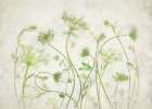 Wild Herb Garden Art Print