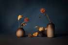 Dried Flower Art Print