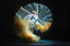Circledance Art Print