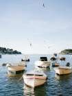Boats of Hvar Art Print