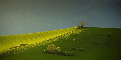 Painted With Light . . Art Print by Matej Rumansky