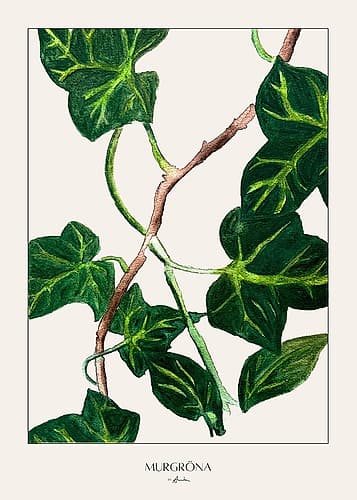 MurgrApna Art Print by Annika John