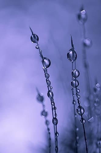 Drops of Silver Photography Print