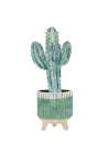 Boho scandi cactus 1 Botanical Print