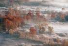 foggy time Art Print