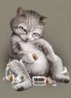 Greedy Cat Art Print