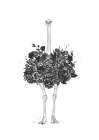 Floral ostrich Art Print