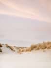 Ameland Dunes 3 Coastal Print