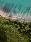 Palm Beach from Above Art Print