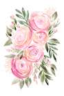 Begonia pink ranunculus bouquet Art Print