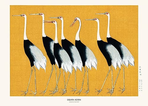 Japanese Red Crown Crane Art Print