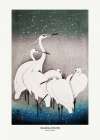 Group Of Egrets Art Print