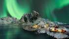 Hamnoy Aurora Borealis Art Print