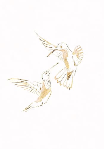 Gold Hummingbird Line art Silhouettes 4 Animaux reproduction