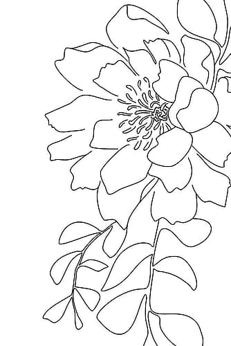 Loli peony line art Art Print