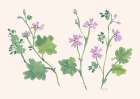 Little Violets Art Print