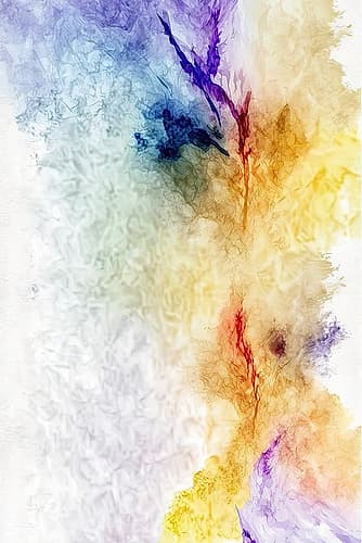Field of ... Art Print by Mauro
