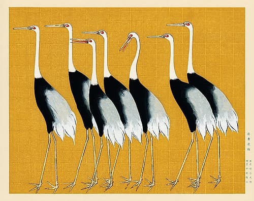 Japanese Red Crown Crane Art Print
