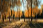 Autumn Art Print