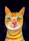 Ginger Cat Art Print