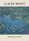Water Lilies Art Print