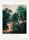 Cupid Inspiring Plants with Love from The Temple of Flora (1807) Art Print